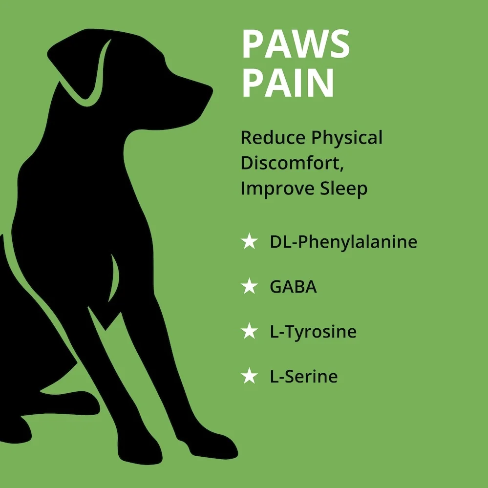 how can i help my dogs pain